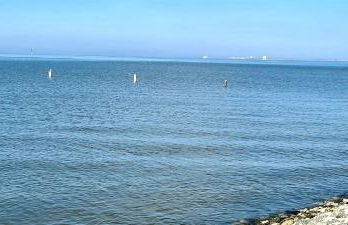 Ferienwohnung Baltrum auf dem Elisenhof Hagermarsch - Foto 30