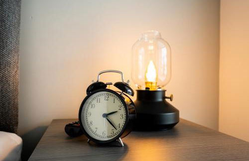 Pluxa Blue Sapphire Luxury Stay Free parking Free WIFI - Walk Everywhere, Travel, Biz, Leisure - Foto 7