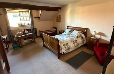 Chez les Loulous - Foto 15