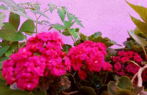 Villa Ágape - Chapada dos Veadeiros - Foto 21