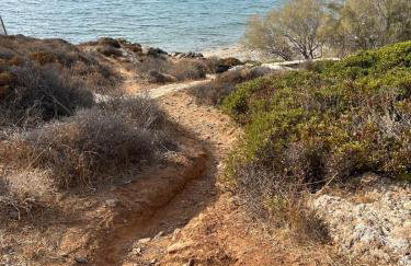 Delfini Suites - Foto 18