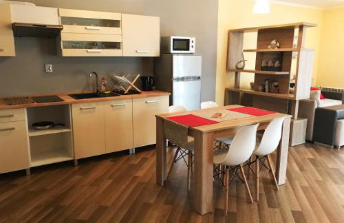 Apartamenty Centrum Rajcza - Foto 18