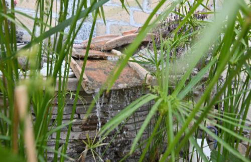 Agriturismo le Fontane - Lago di Bolsena - Foto 71