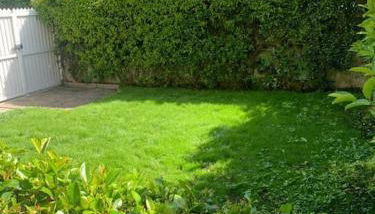 Casa Levante Fregene, mare e relax vicino Roma - Foto 3, Garden