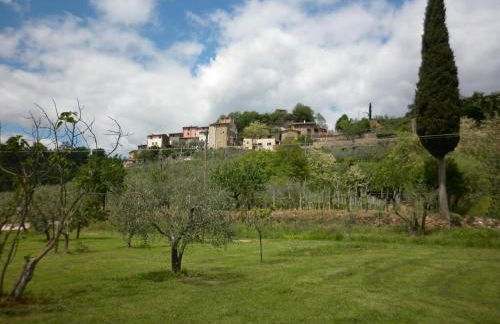 azienda agricola lo zolfino - Photo 24