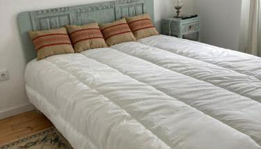 Melro-d' água - Foto 5