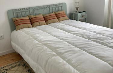 Melro-d' água - Foto 5