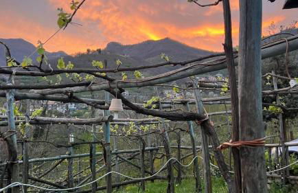 Agriturismo Il Tintore - Foto 15