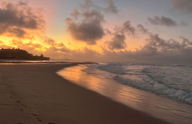 Villa Palmeira - Foto 73