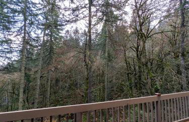 The Mountain House - Foto 44