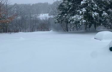 Adirondack Waterfront Cabin Upper Hudson Tributary - Foto 51