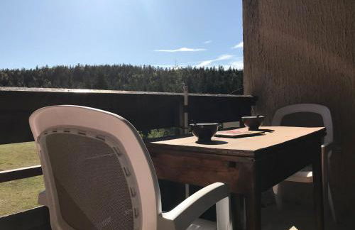 Studio cabine 25m² au pied des pistes à Corrençon - Balcon sud - FR-1-515-70 - Foto 10