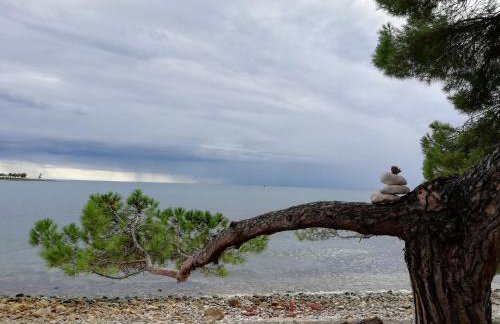 Apartments Oleander Lovrečica-residence with pool - Photo 46