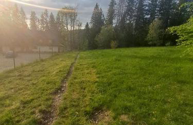 Dworek na skraju lasu - Foto 28