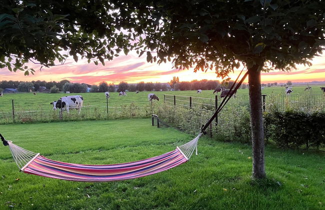 Farmhouse With Terrace in Montfoort - Photo 35