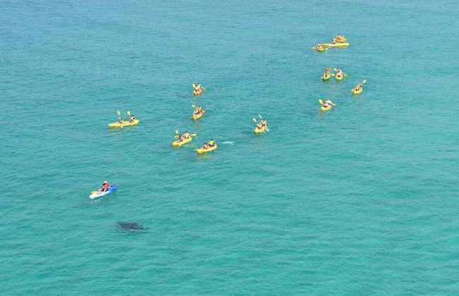 Tour del Parco nazionale Great Sandy in kayak - Foto 6