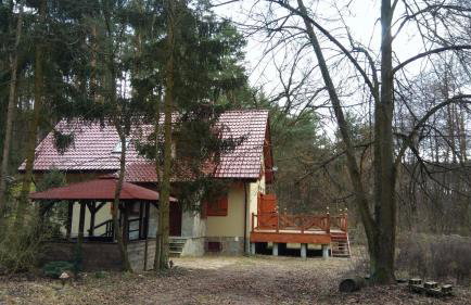 Cztery Pory Lasu - Foto 8