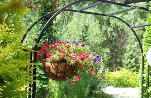 Sumówko Leśne Siedlisko - Foto 38