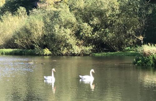 The Lodge - Photo 28