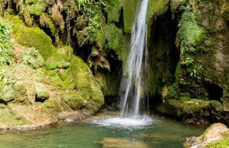 La Thébaïde - Foto 9