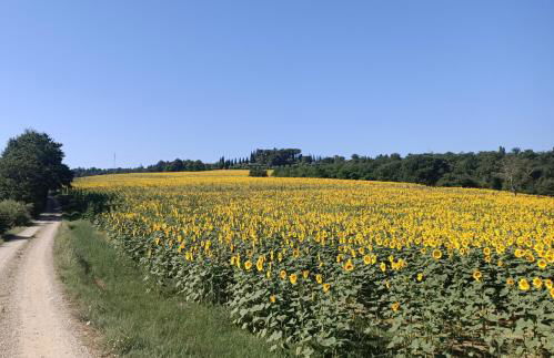 Agriturismo Podere Tresa - Photo 42
