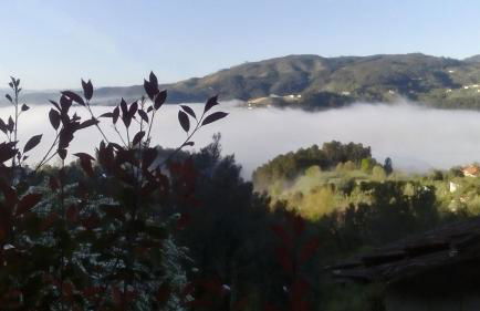 Casa de Sao Joao - Foto 14