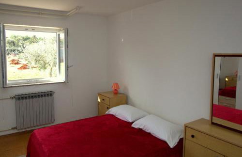 Apartmani Loli - Foto 11