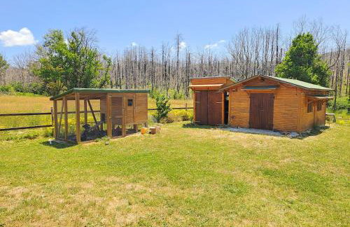 Timber Dream - Photo 35