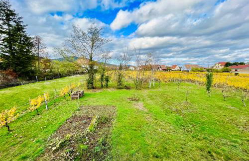 Entre Vignes et Verger - Foto 6