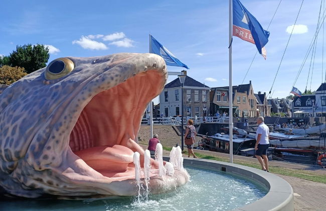 5 bedroom House in Stavoren with garden and terrace - Photo 32