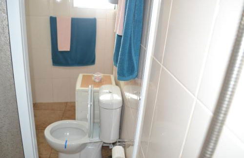 Casinha de Muda da Feteira - Photo 15