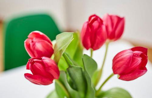 Holiday Home Komfortables Ferienhaus in purer Natur by Interhome - Photo 24