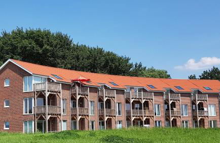 Wremer Seemöwe - Foto 16