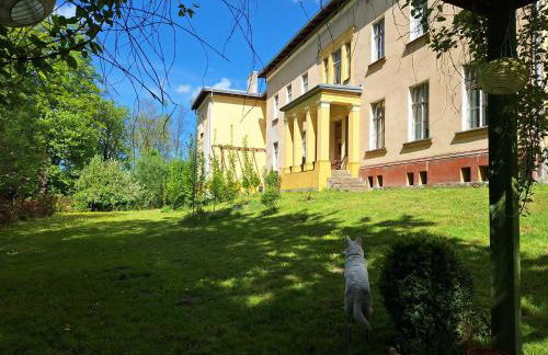 Pałac Paprotno - Foto 6