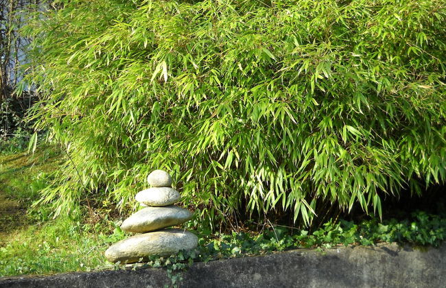 Apartments Am Kirchkogel - Foto 39