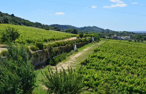 Quinta do Piloto - Foto 18