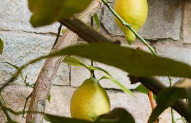 Bella casa con vista panoramica - Foto 11