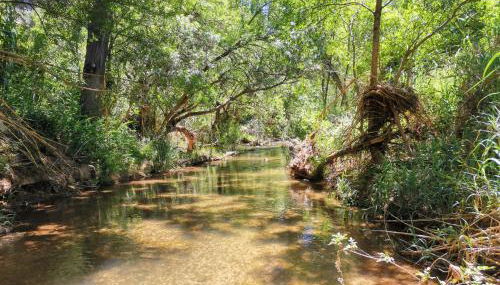 Casa Rural La Encalá - Foto 2