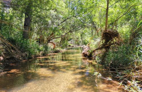 Casa Rural La Encalá - Foto 2