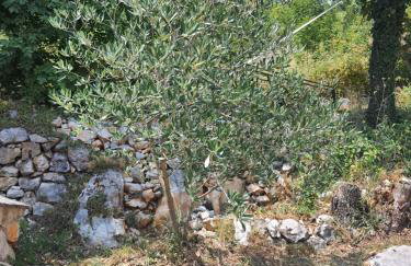 Počitniška hiša Morski pogled - Foto 41