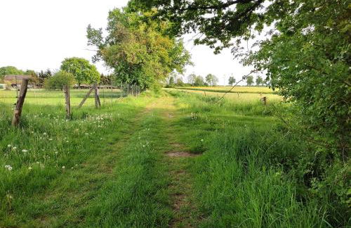 Ferienwohnung Steffenshagen - Foto 35