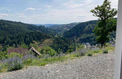 Tinyhouse Wald(t)raum - Foto 12