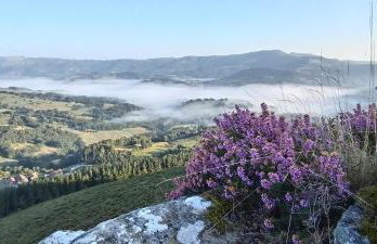 Aldaetxea - Foto 54