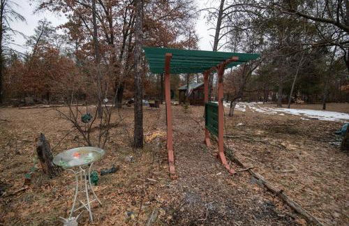 Black bear cabin with blow up hot tub - Foto 7