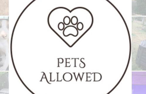 Vera Playa La Medina - Foto 8