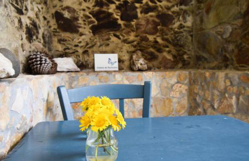 Quinta da Borboleta - Foto 22