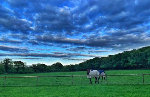 The Studio at Bluebell Barn - Foto 7