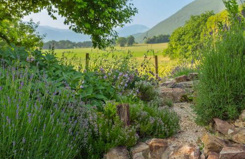 Agriturismo La Cascina di Opaco - Foto 41