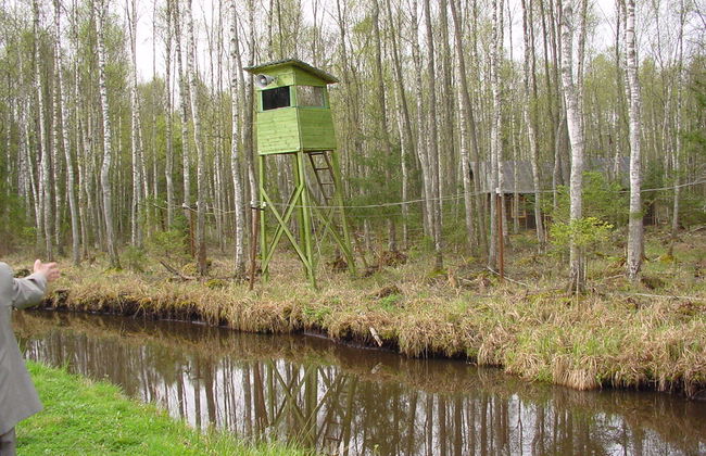 Tour to Druskininkai - A spa town in Southern Lithuania - Photo 6