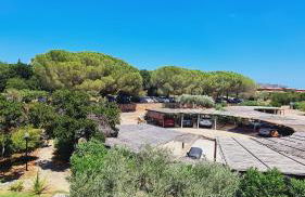 Stella di Coda Cavallo - Foto 19